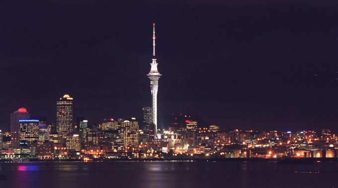 Light pollution in Auckland has been causing harm to species like seabirds. Photo / Mark Mitchell