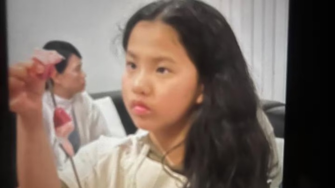 Missing Auckland girl Lily.