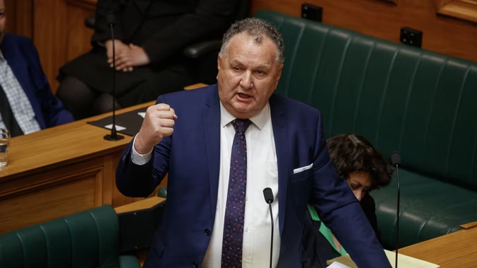 Regional Development Minister Shane Jones. Photo / Mark Mitchell
