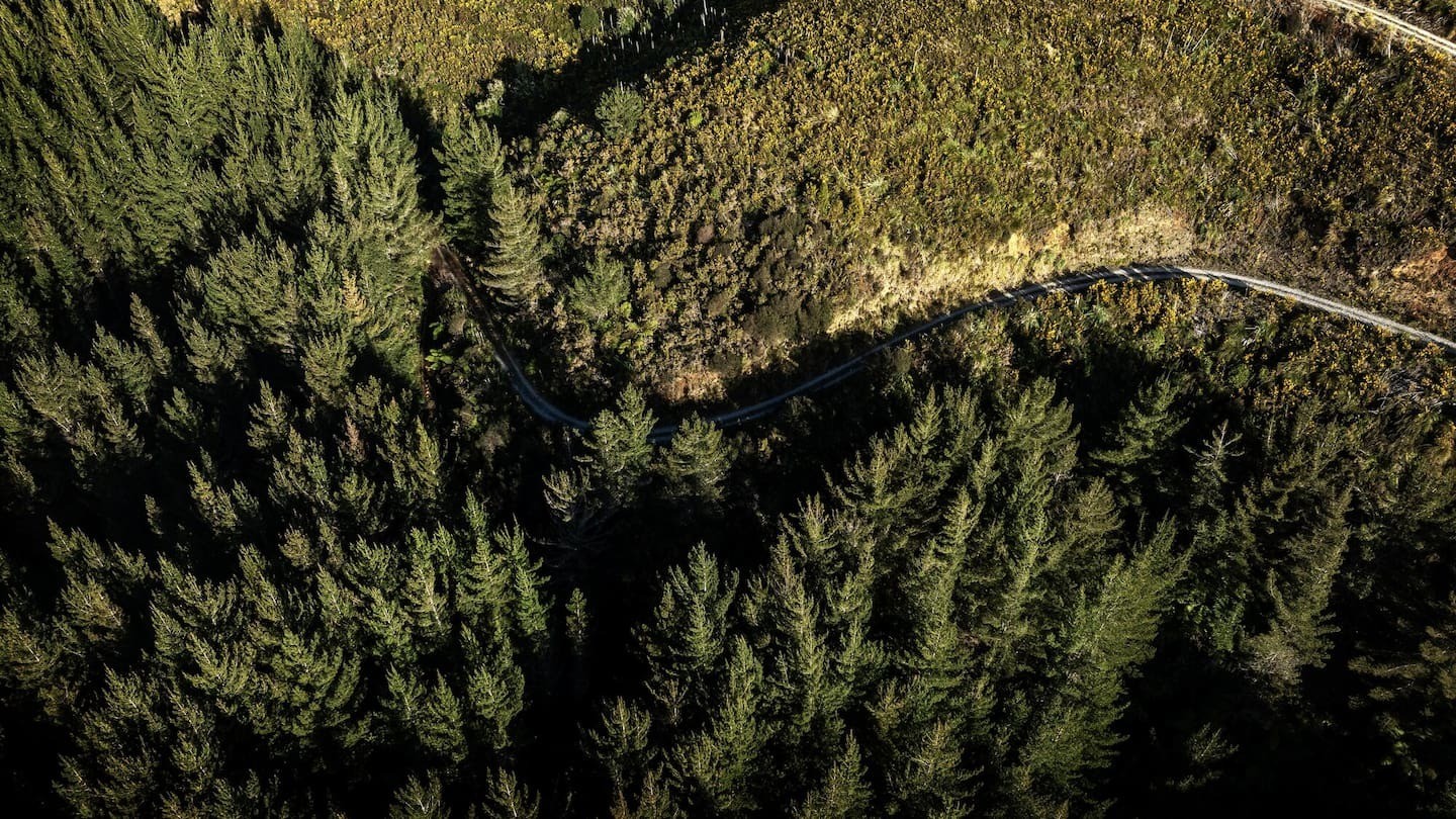 'Tragically taken': Hunter shot in bush near Dannevirke was 44-year-old father