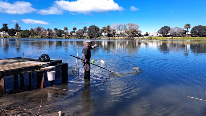Dead people's blood, mortuary waste water and chemicals have been discharged into the Wairoa River and locals want it to stop. Photo / Neil Reid