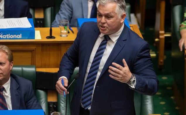 (Photo / NZ Herald)