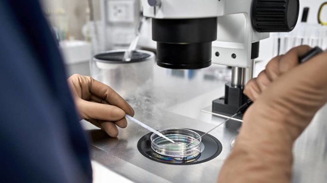 Scientists said the lab-grown eggs opened up new possibilities for fertility preservation and the treatment of infertility. Photo / 123RF