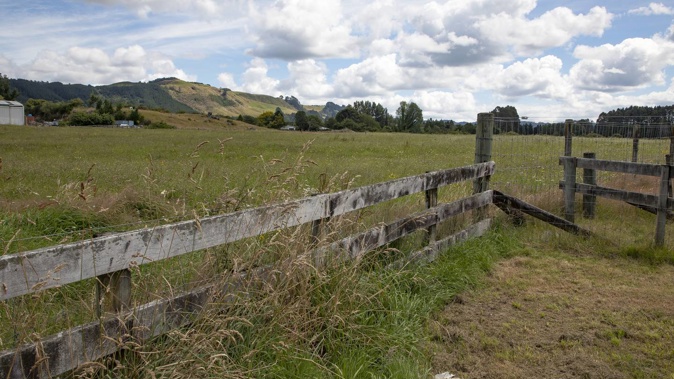 The Government has bought 31 Ngongotahā Rd, with plans to build 350 homes. Photo / Andrew Warner