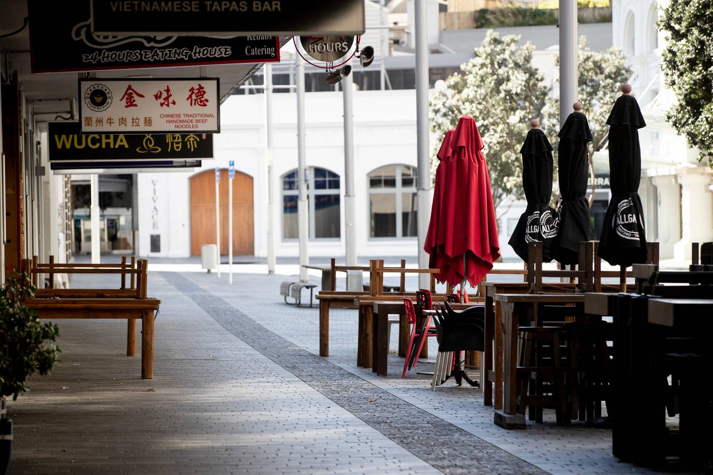 (Photo / Dean Purcell)