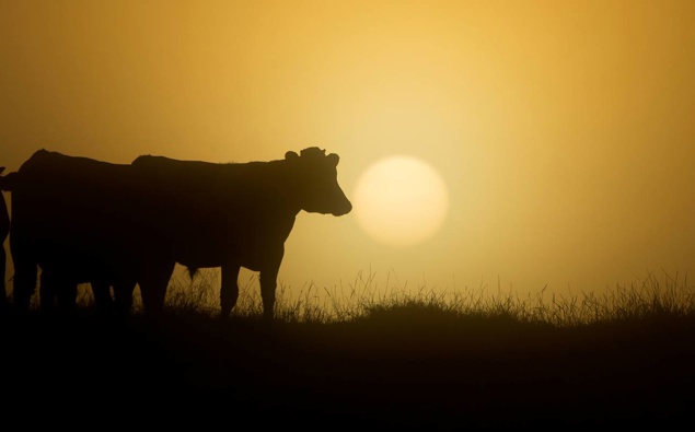 Kerre Woodham: The realities of leaving the Paris Agreement