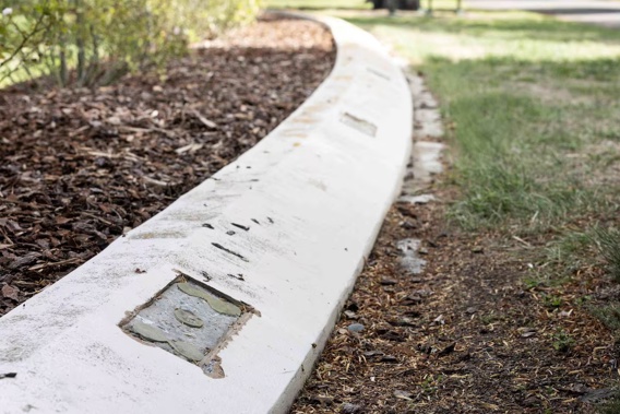 Memorial plaques to the victims of the Ballantynes fire have been stolen from Ruru Lawn Cemetery in Christchurch. Photo / George Heard