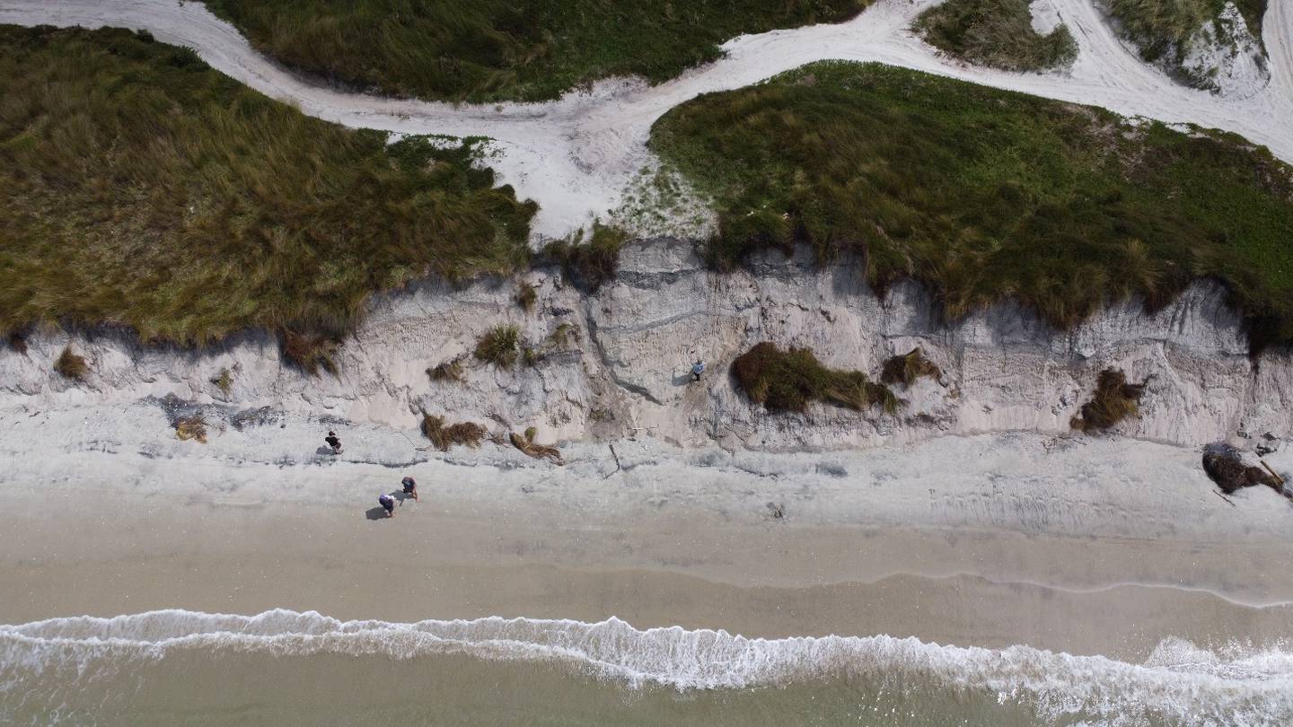 February's Cyclone Gabrielle worsened erosion at Poupouwhenua/Bream Bay, south-east of Whakatane, leaving an ancient Māori midden exposed. Photo / Aaron Apfel