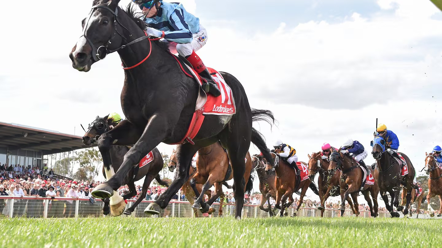 Photo / Getty Images