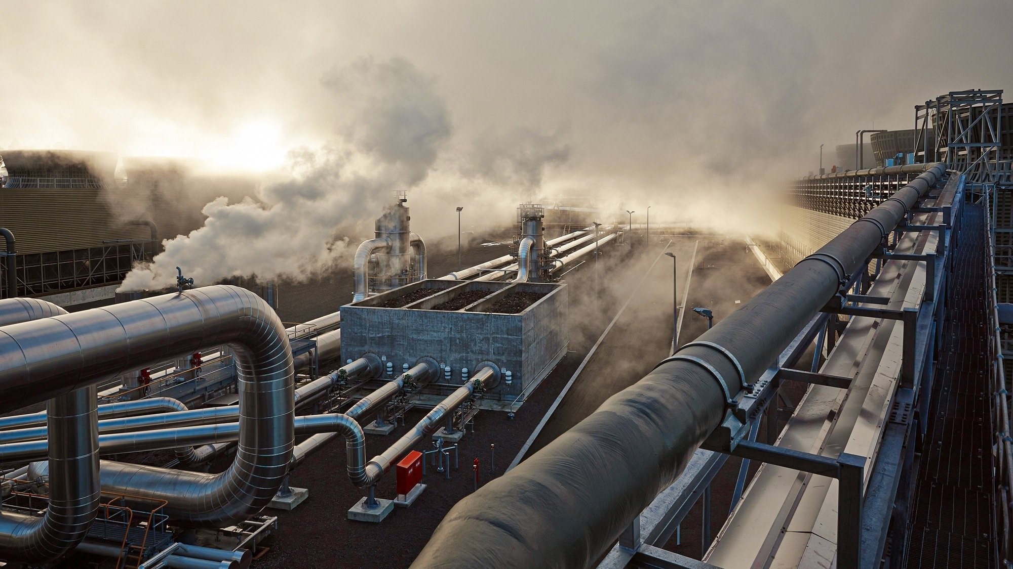 Photo / Supplied | File