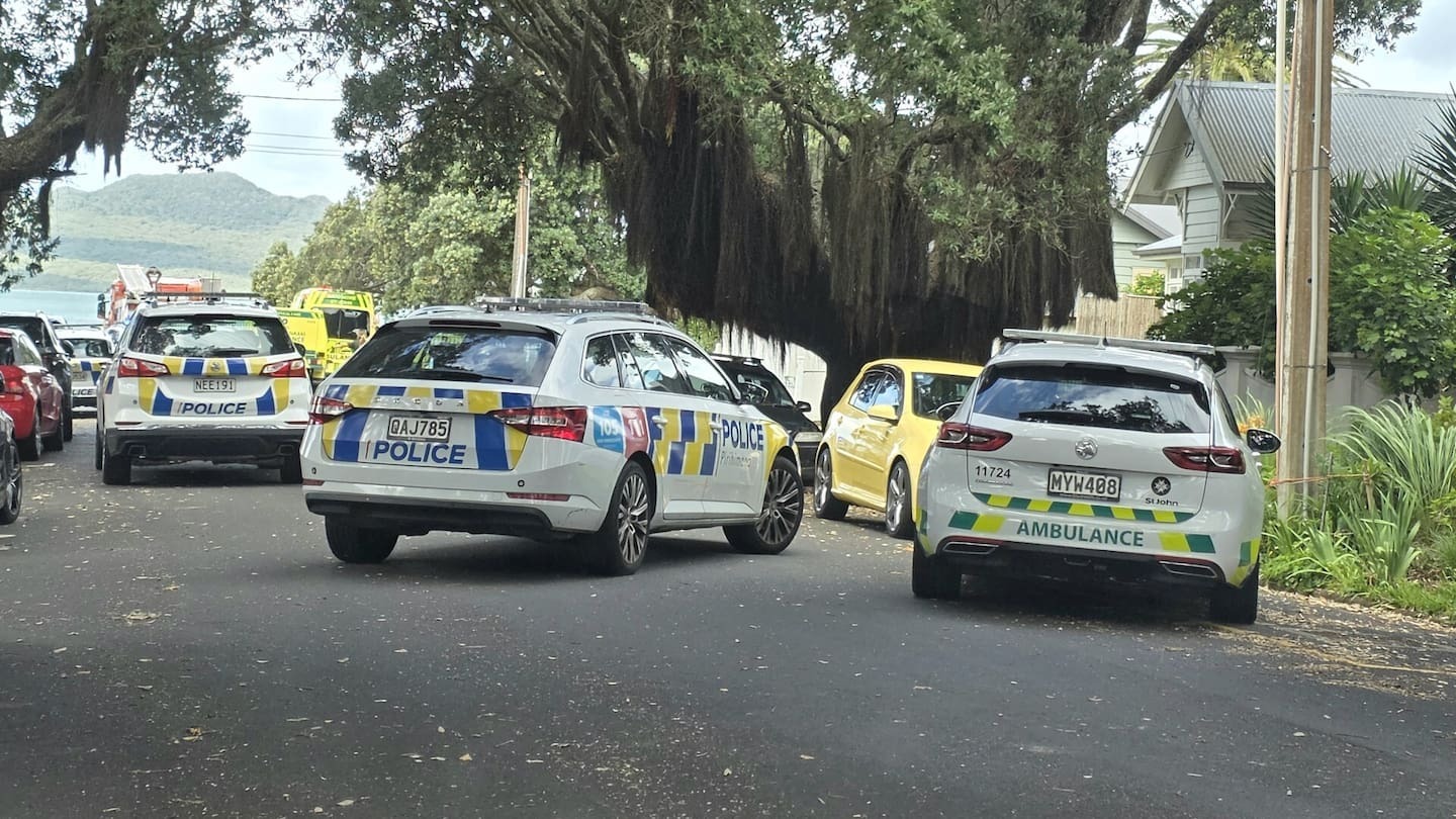Man dies after being pulled from water at Auckland beach