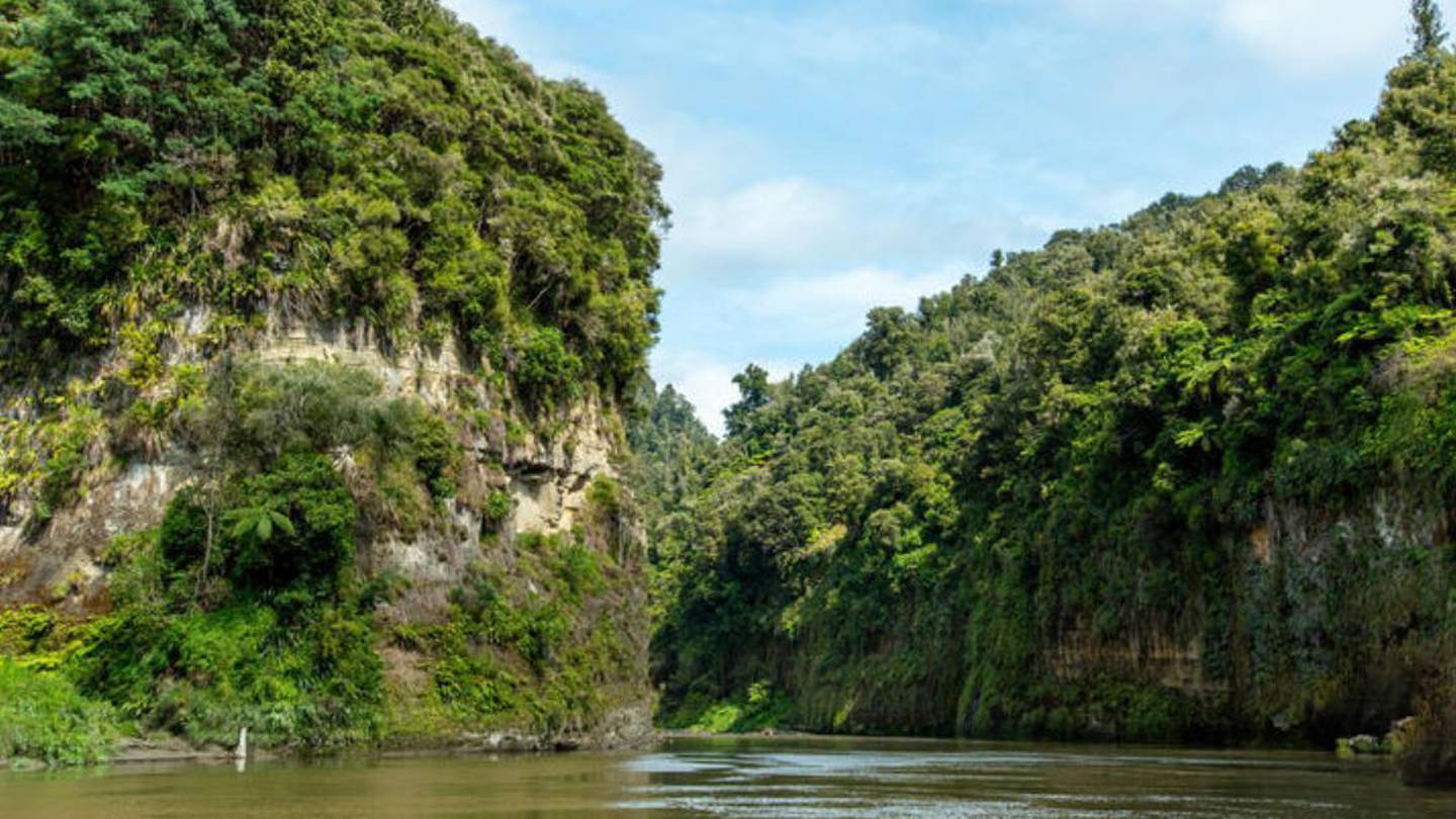 The Whanganui River winds through isolated native bush in Whanganui National Park. Photo / 123rf