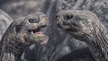 Mike Yardley: Walking with the giants on Santa Cruz Island, Galapagos