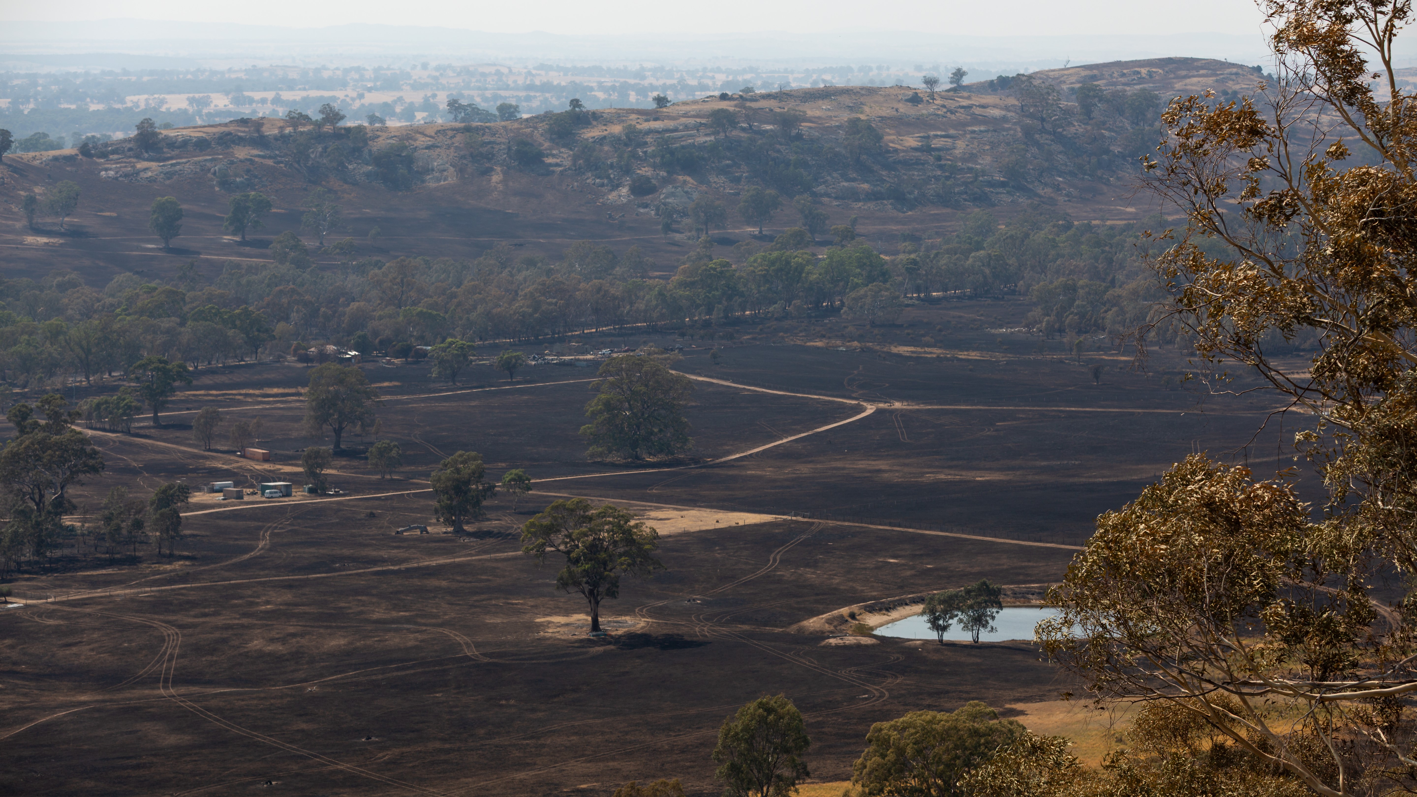 Victoria's bushfires scorch area five times the size of Singapore 