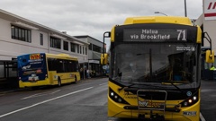 Buses wait on Durham St in Tauranga's CBD. Photo / Mead Norton