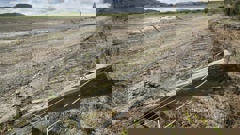 Photo / Warren Buckland