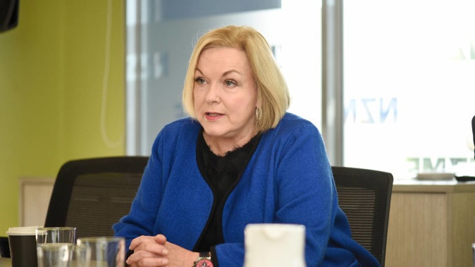 National leader Judith Collins. (Photo / George Novak)