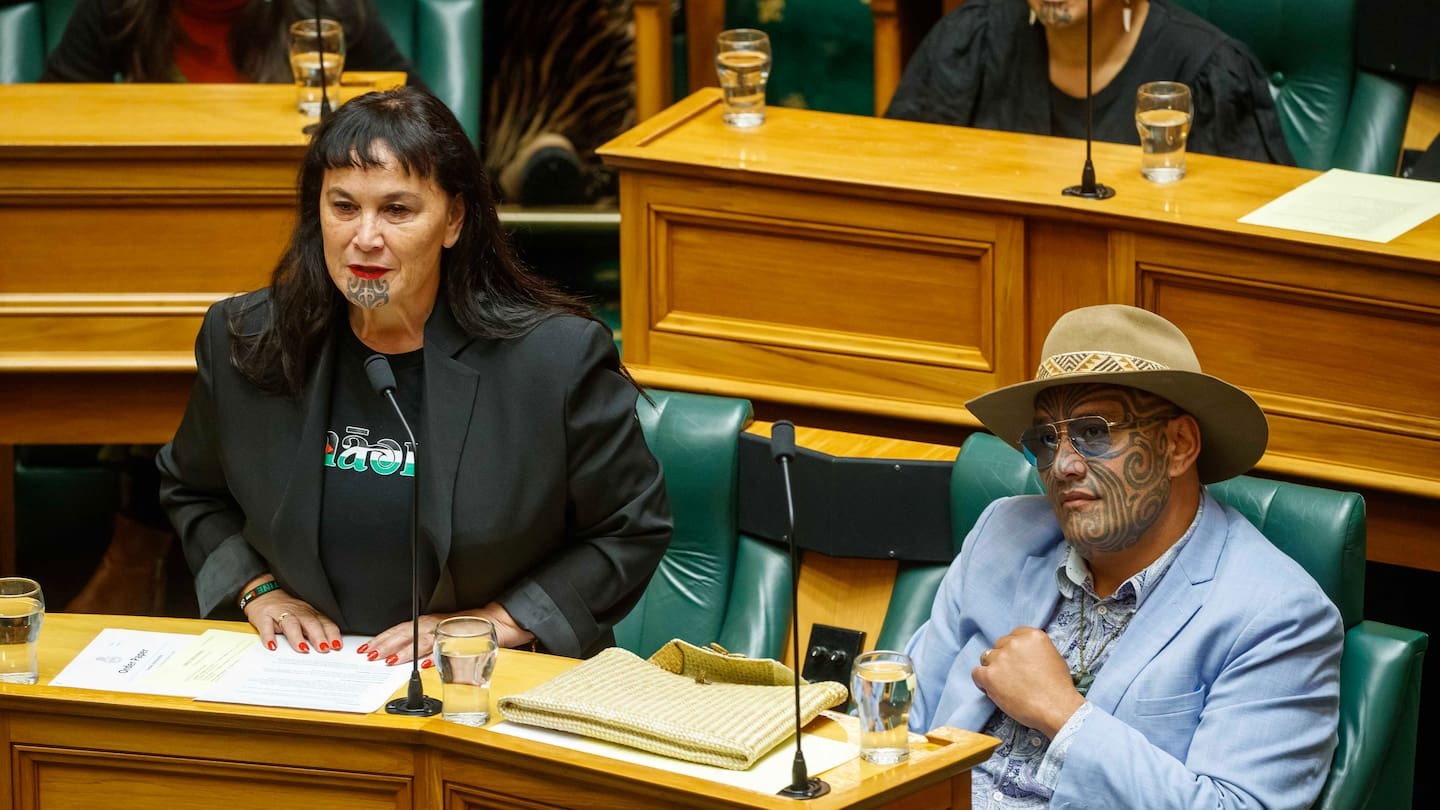 Te Pāti Māori ‘confident’ of a comeback ahead of 2026 general election