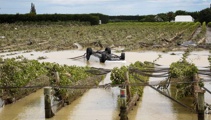 Leaderbrand Chief Executive: How are farmers faring 7 months on from Cyclone Gabrielle?