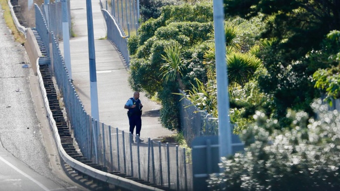 Police are at the scene of an incident next to the Southern Motorway in Highbrook which has led to the closure of all southbound lanes. Photo / Dean Purcell