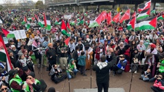Ten of thousands of Palestine supporters have gathered in Auckland's Victoria Park. Photo / Sylvie Whinray