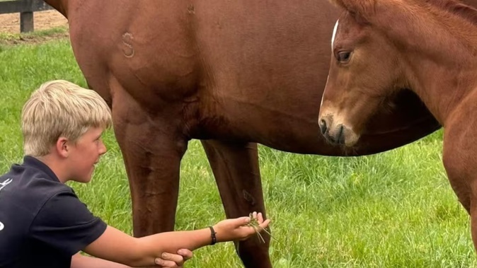 Jimmy Schick, a young Kaipaki School Student, tragically died in an ATV accident on Sunday. Photo / Windsor Park Stud