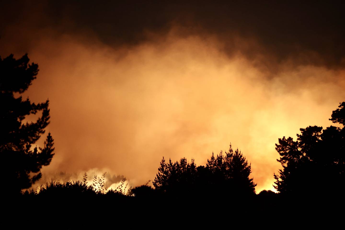 Photo / George Heard