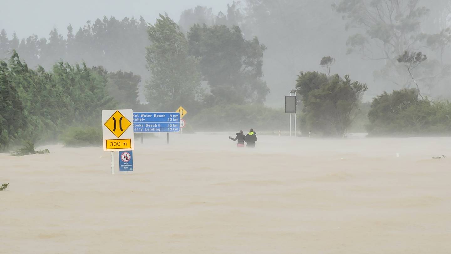 Photo / Matthew Davidson