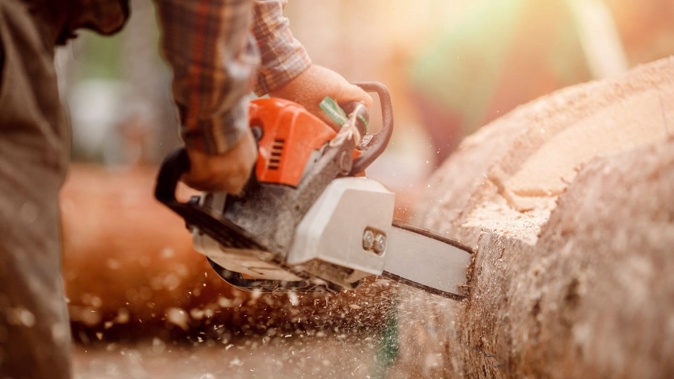 Mihajlo Nikolic was an experienced woodsman and well-liked member of the Taupaki community, where he lived on a farm. He was killed in April 2025 while felling a tree. Photo / 123RF