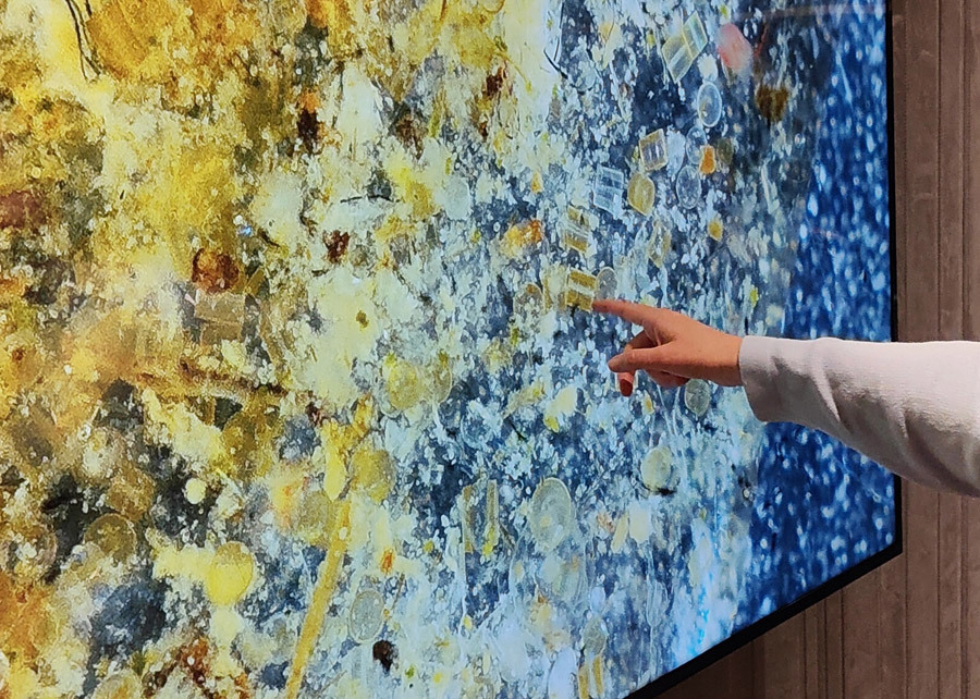 Ruud Kleinpaste: Teaching time in the Marlborough Sounds