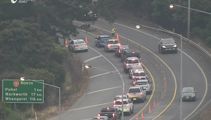 Downed tree on SH1 cleared, but traffic headed north from Auckland still congested