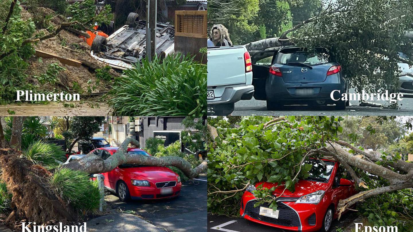 Cyclone Dovi 's strong winds caused damage to cars around the country. Photo / NZME