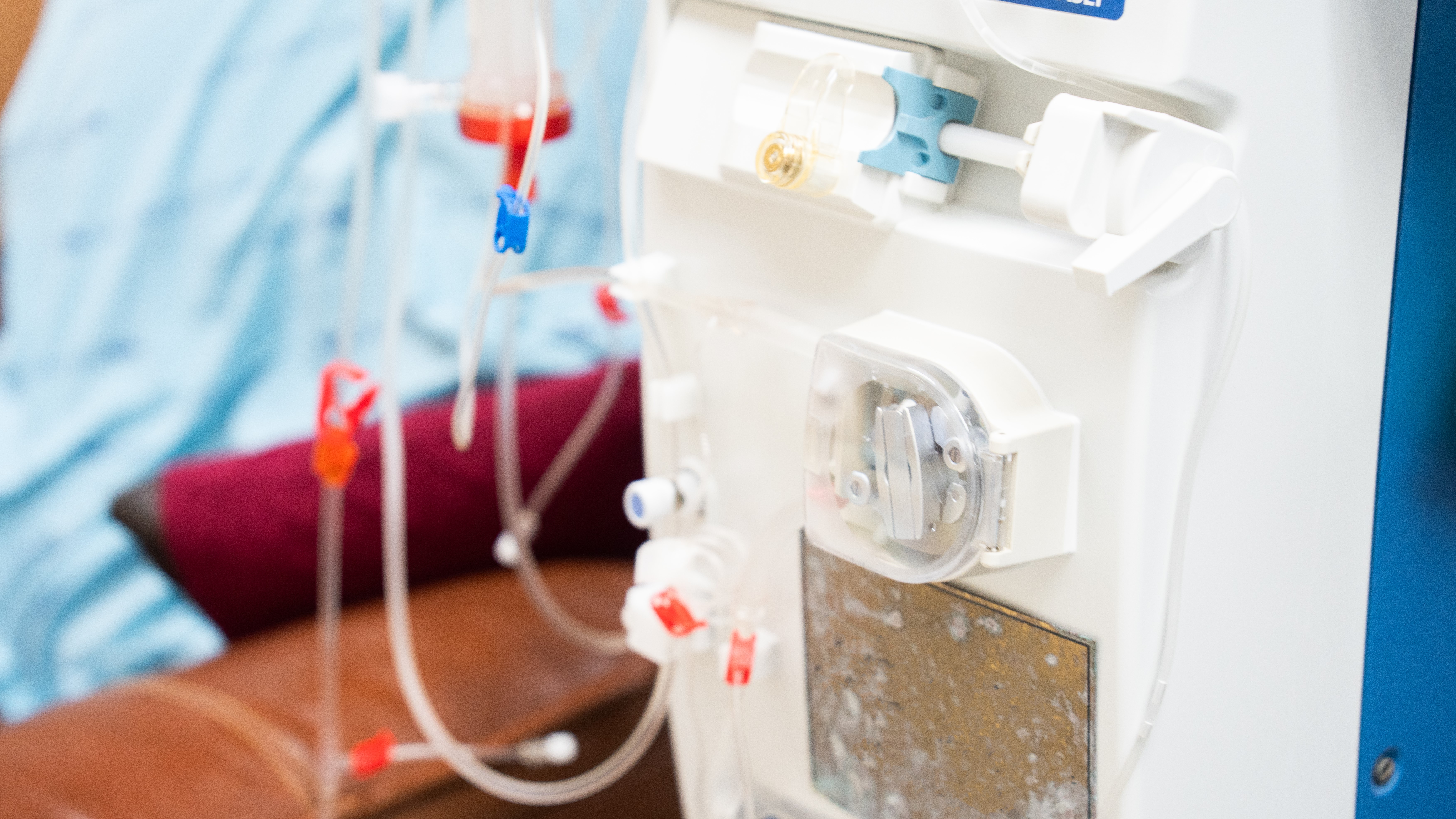 "Predicting this for the last 15 years": NZ facing 'tsunami' of kidney disease, lack of treatment funding 