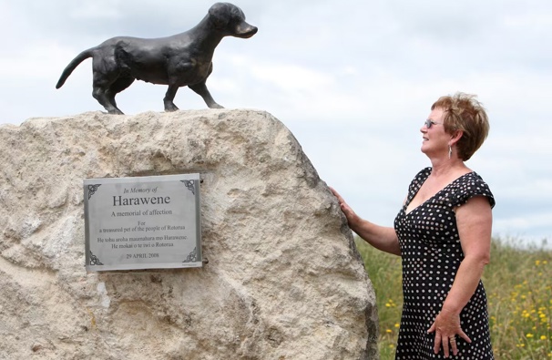 Rotorua woman Fiona Cairns, pictured in 2009, led the fundraising mission to build Harawene's memorial statue. Photo / Kelvin Teixeira