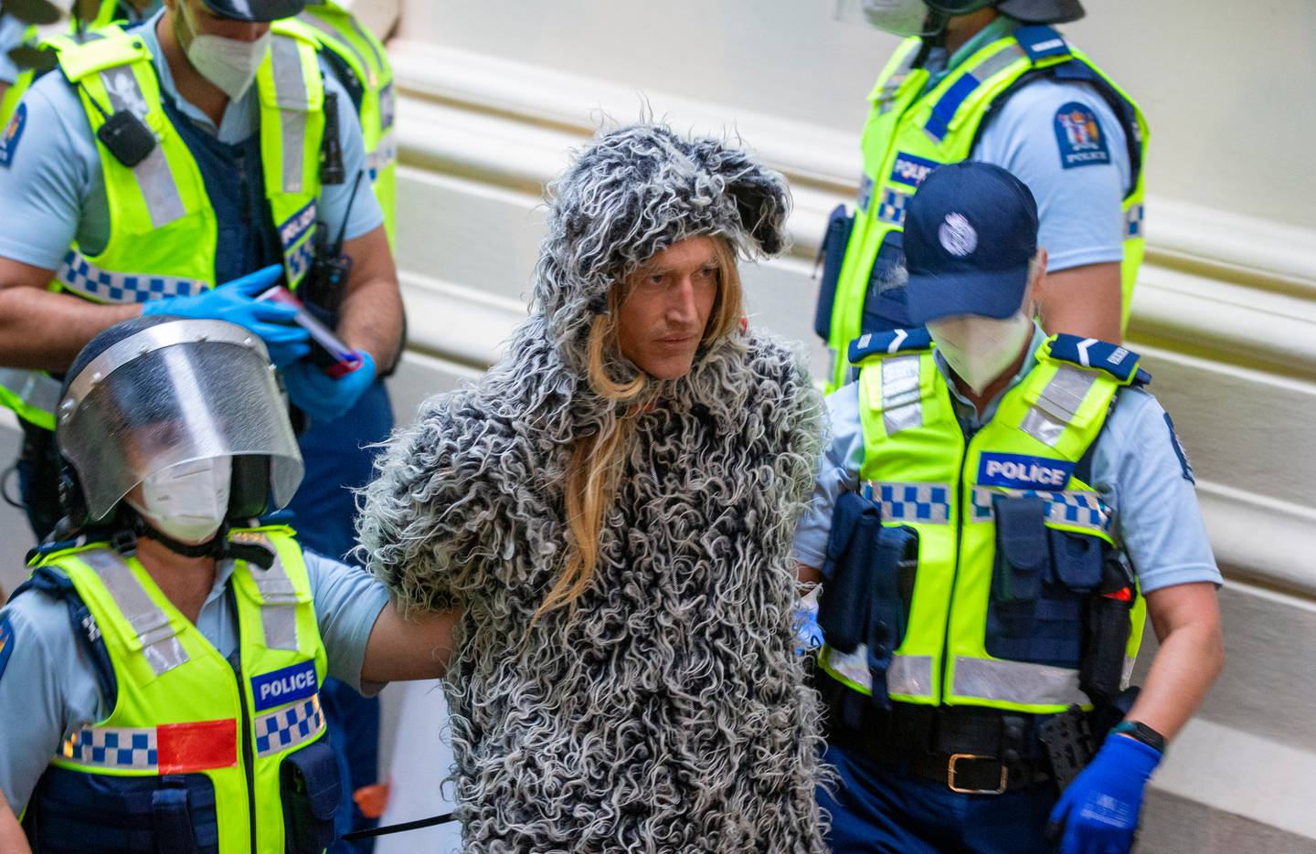 A protester is led away in handcuffs. (Photo / Mark Mitchell)