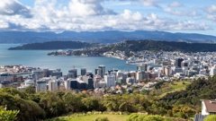 Wellington city. Photo / Mark Mitchell