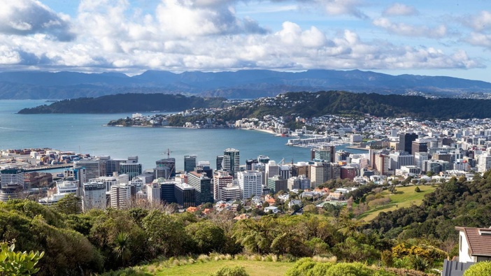 Wellington city. Photo / Mark Mitchell