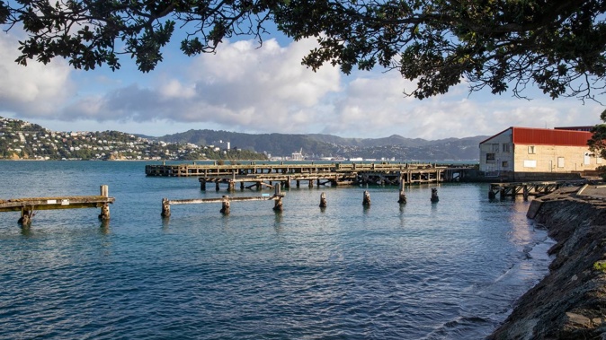The bus depot is planned down the road from Shelly Bay. Photo / Mark Mitchell