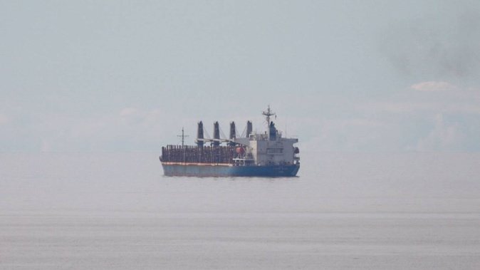 The MV Achilles Bulker anchored off Mount Maunganui. Photo / Alex Cairns