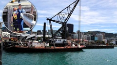 Police search the Wellington Harbour where a person failed to surface after jumping from a crane. Photo / Mark Mitchell