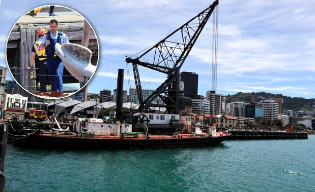 Police search the Wellington Harbour where a person failed to surface after jumping from a crane. Photo / Mark Mitchell