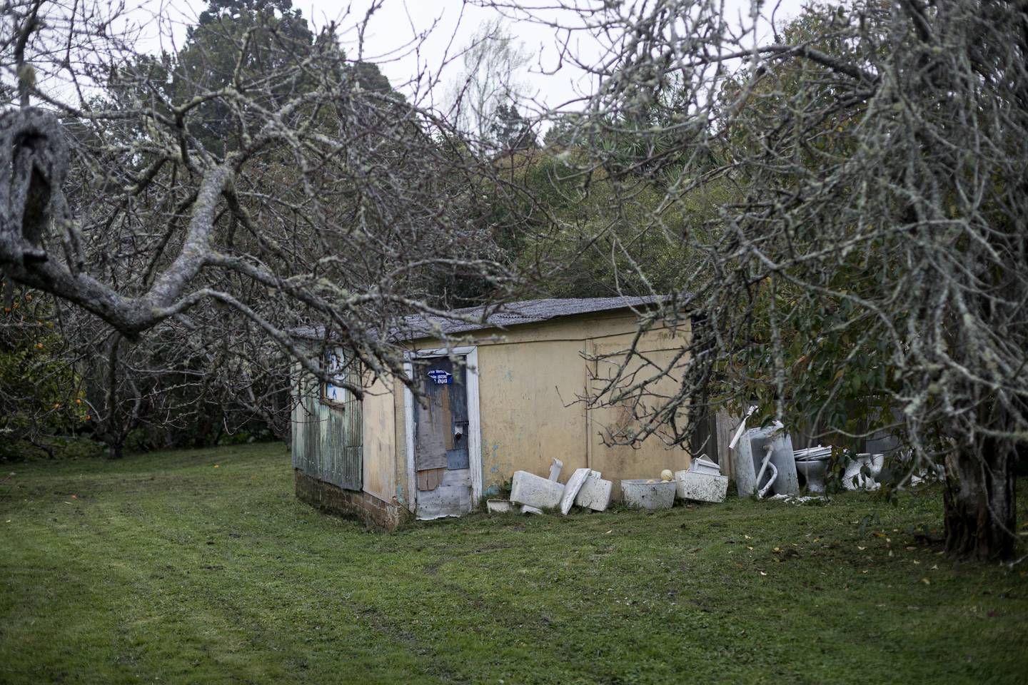 Photo / Dean Purcell