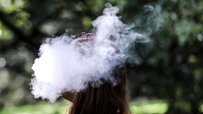 Cannabis users in the Waitemata, Tasman, Waikato, Central and Southern police districts are less likely to be charged for drug use/possession, according to police data. Photo / Hayden Woodward