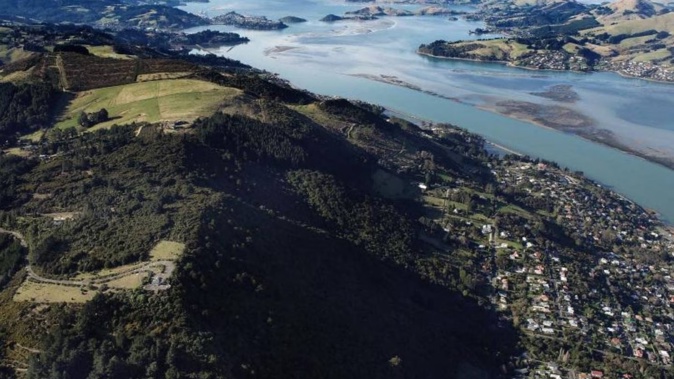A missing Dunedin 8-year-old has been found safe. Photo / Supplied