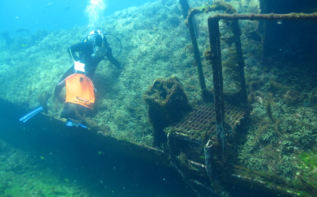 Marine ecologist ten years on from Rena disaster