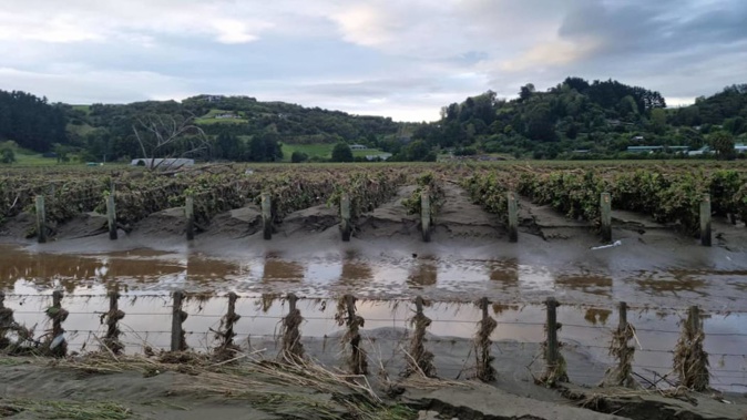 Mud and silt left behind at an Esk Valley property after Cyclone Gabrielle passed through. Photo / Sally Murphy, RNZ