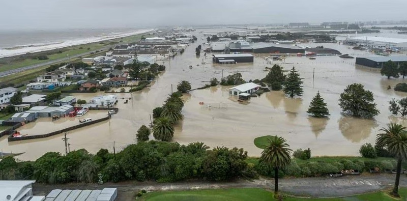Photo / NZ Herald