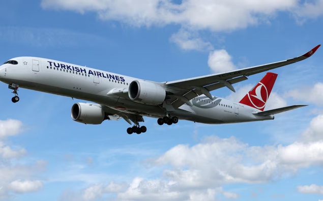 Turkish Airlines eyeing Auckland-Istanbul flights – report – Newstalk ZB Turkish Airlines eyeing Auckland-Istanbul flights – report – Newstalk ZB