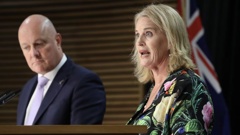 Prime Minister Christopher Luxon and MSD Minister Louise Upston speaking at the post-Cabinet press conference at the Beehive at Parliament. Photo / Mark Mitchell