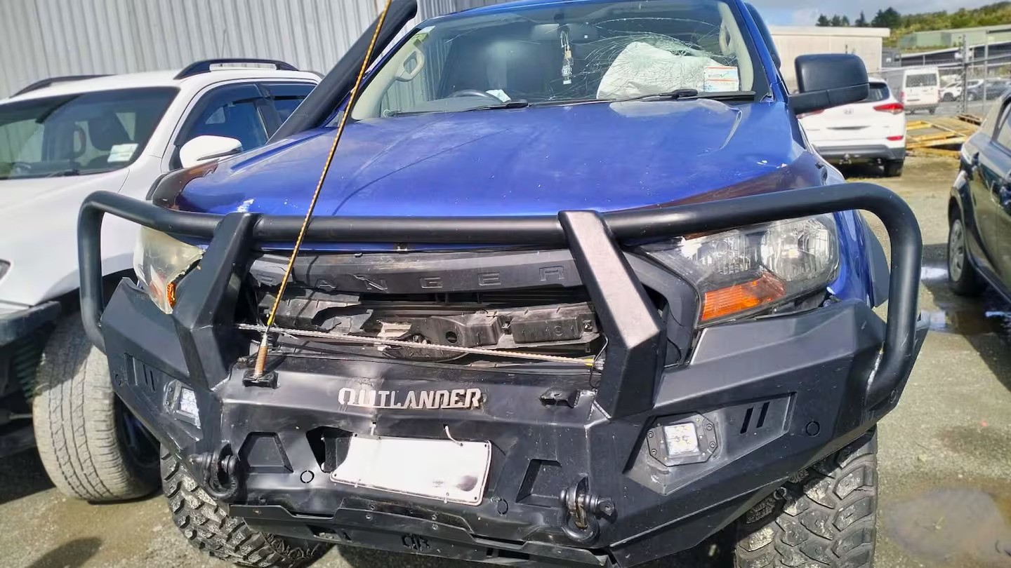 Whangārei Heads driver's crash into cattle beast sparks renewed fears